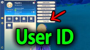 Genshin Impact User ID